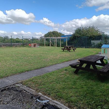 Y Doc At World Horizons Community Hub Hostel Llanelli Bagian luar foto